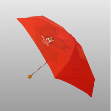 Adult Foldable Umbrella