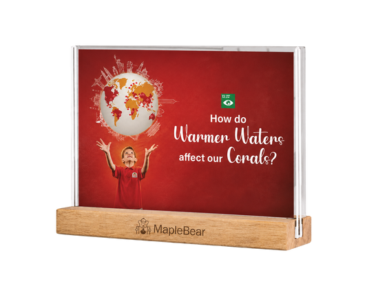 Maplebear Experience - The World is Yours