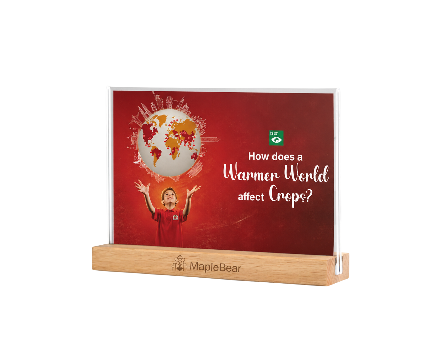 Maplebear Experience - The World is Yours