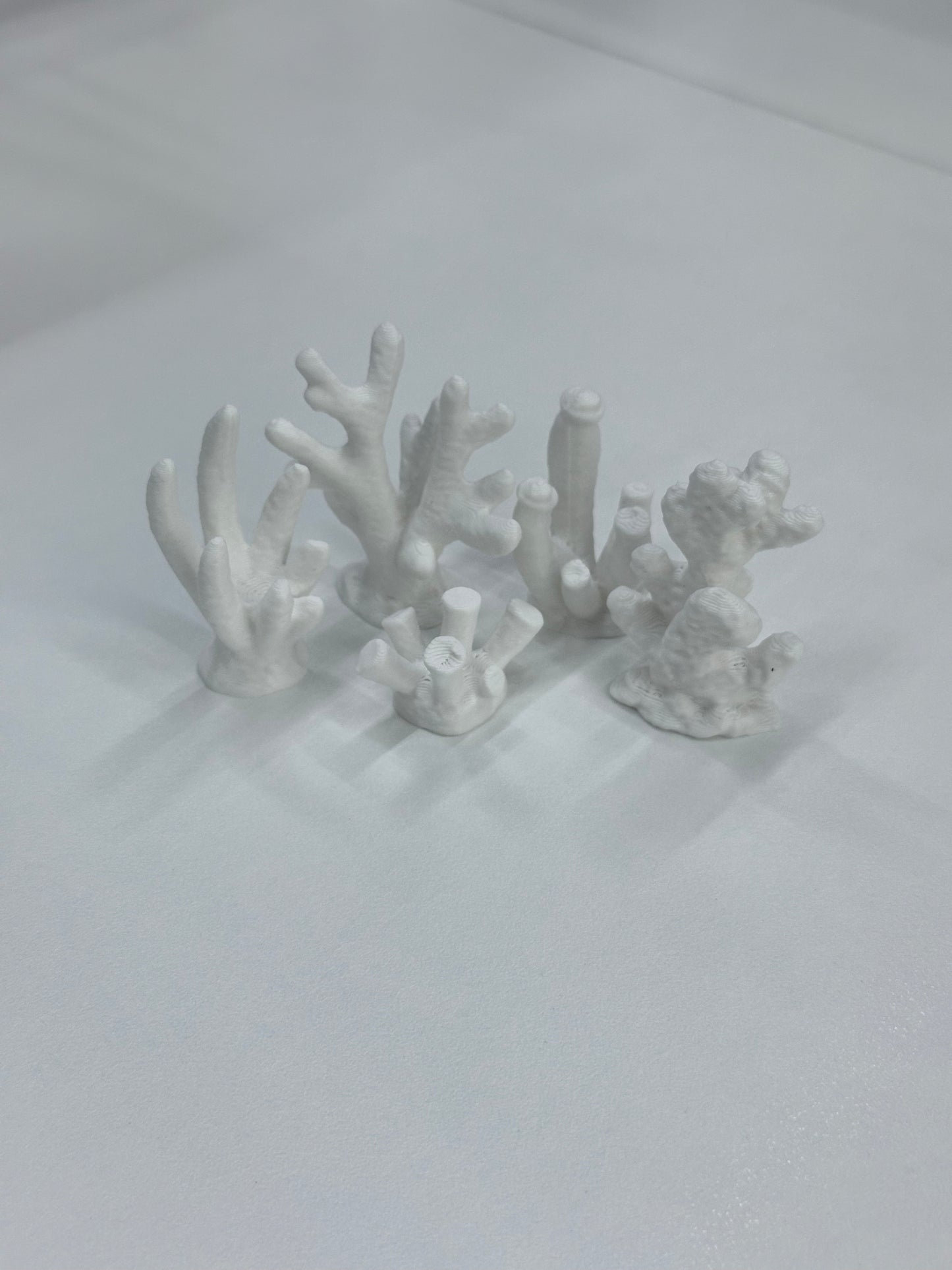 Maplebear Experience - Learning Centre Materials (Pre-Order)