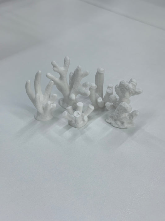 Maplebear Experience - Learning Centre Materials (Pre-Order)