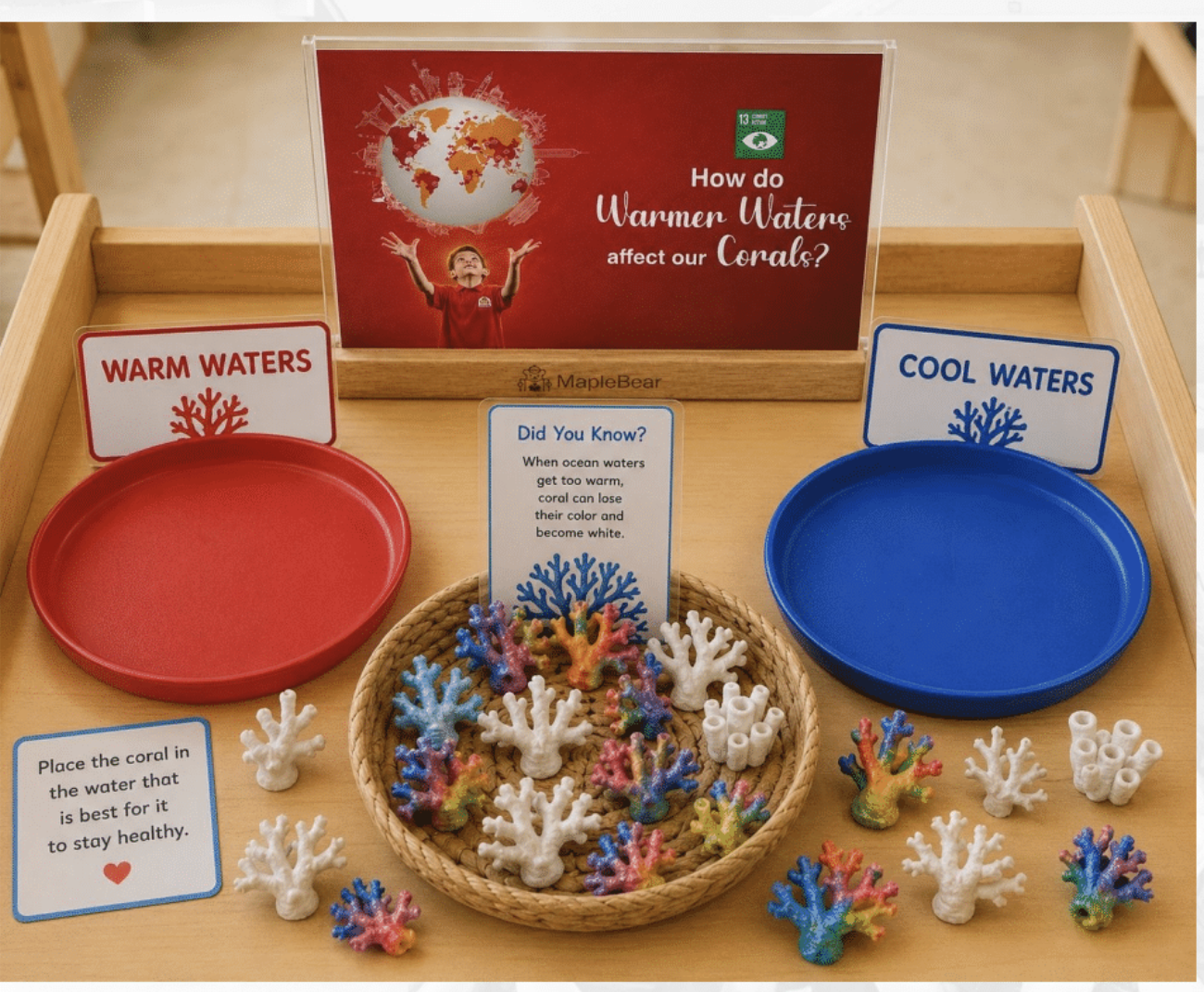 Maplebear Experience - Learning Centre Materials (Pre-Order)