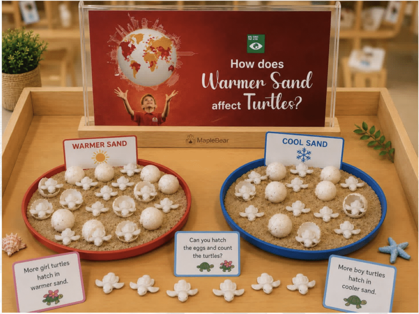 Maplebear Experience - Learning Centre Materials (Pre-Order)